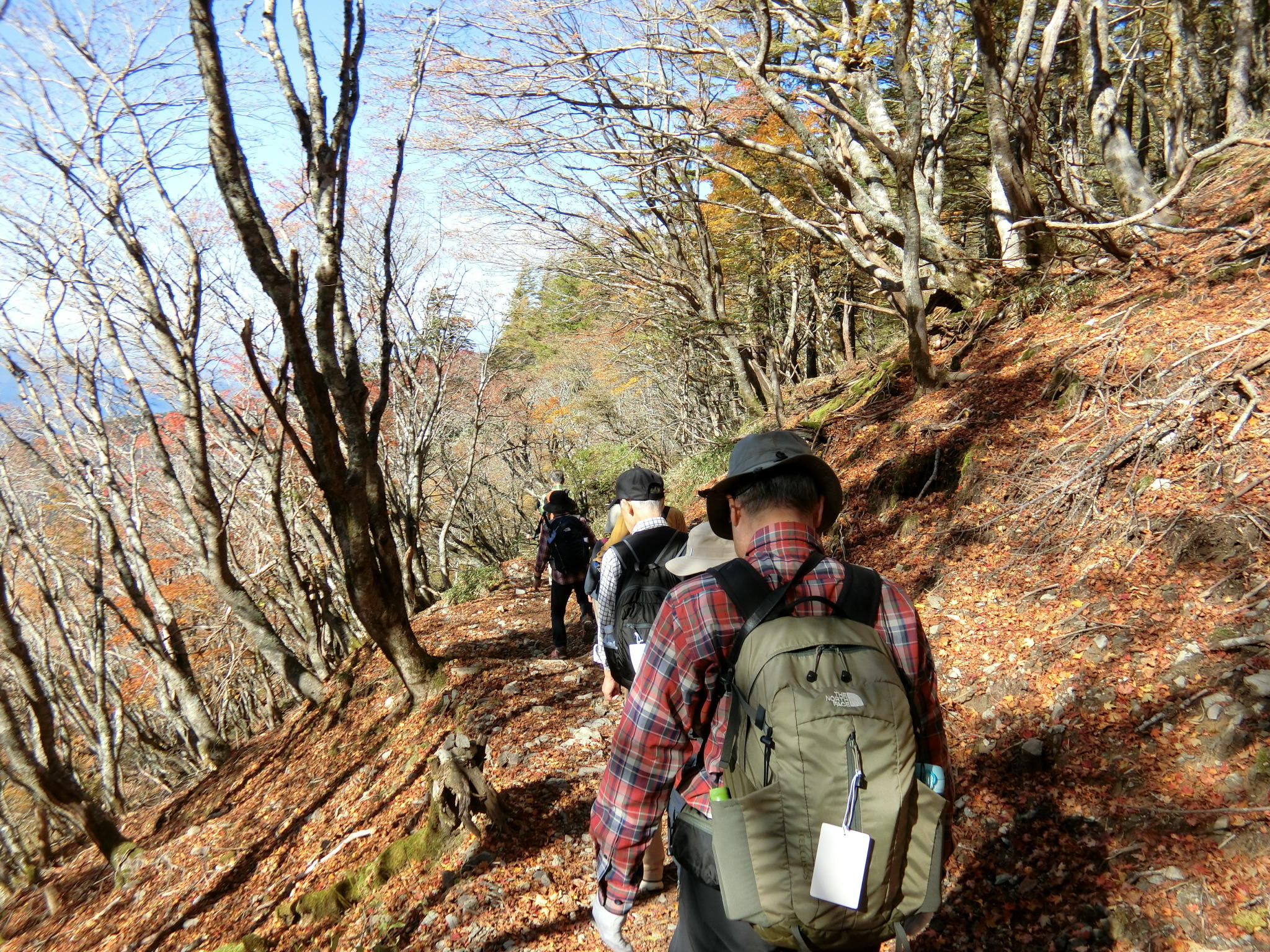 image_original (83).jpg