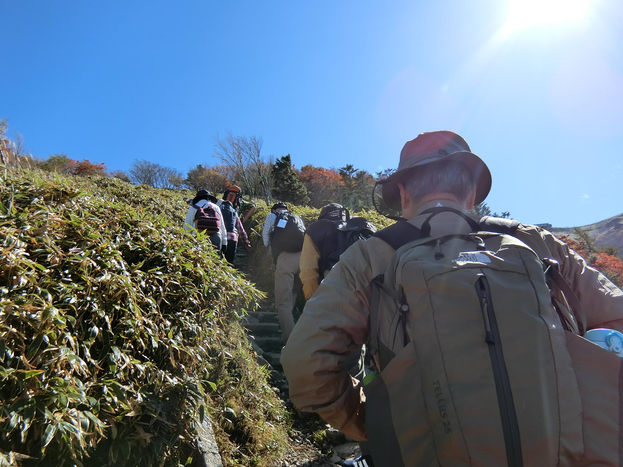 image_original (79).jpg