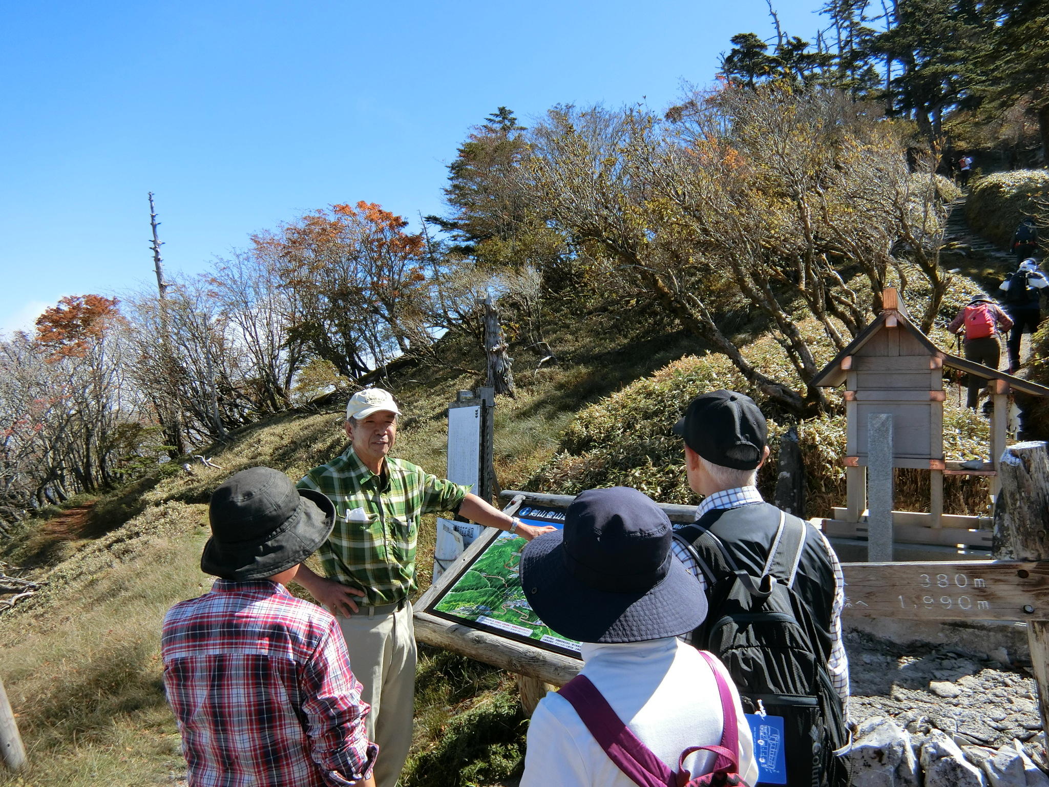 image_original (80).jpg