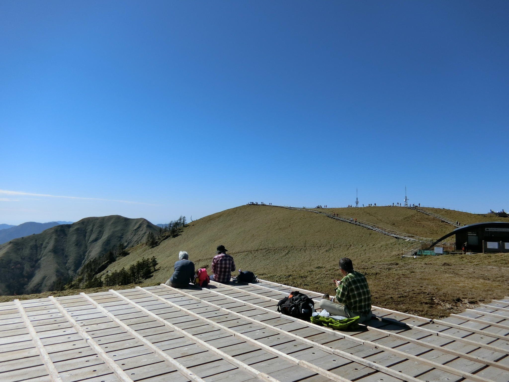 image_original (81).jpg