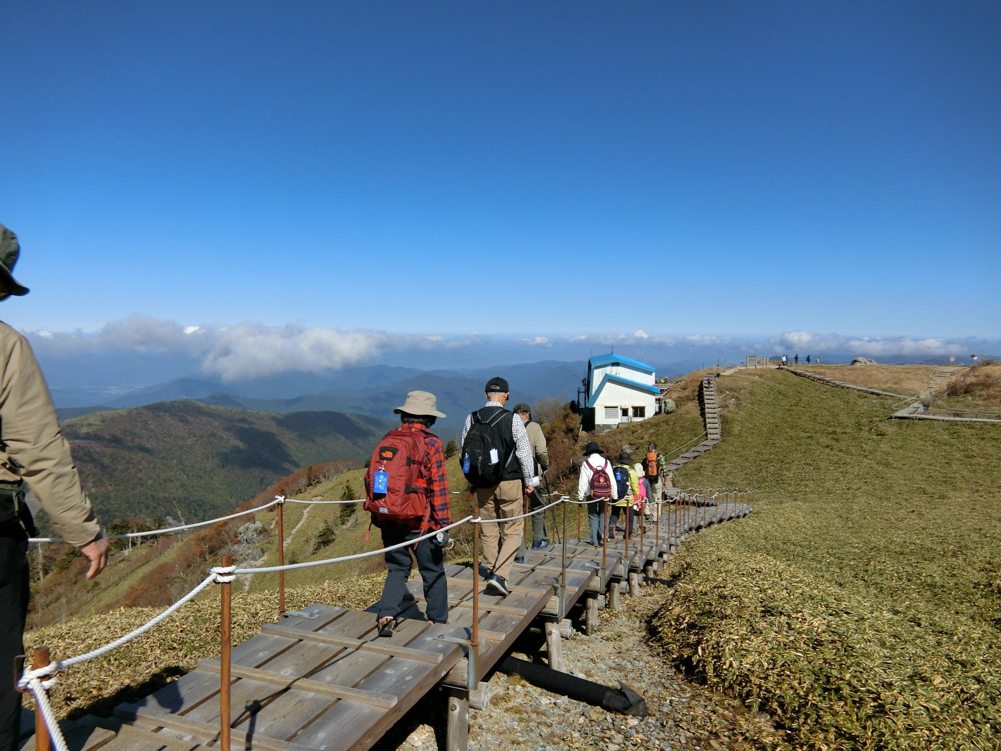 image_original (82).jpg